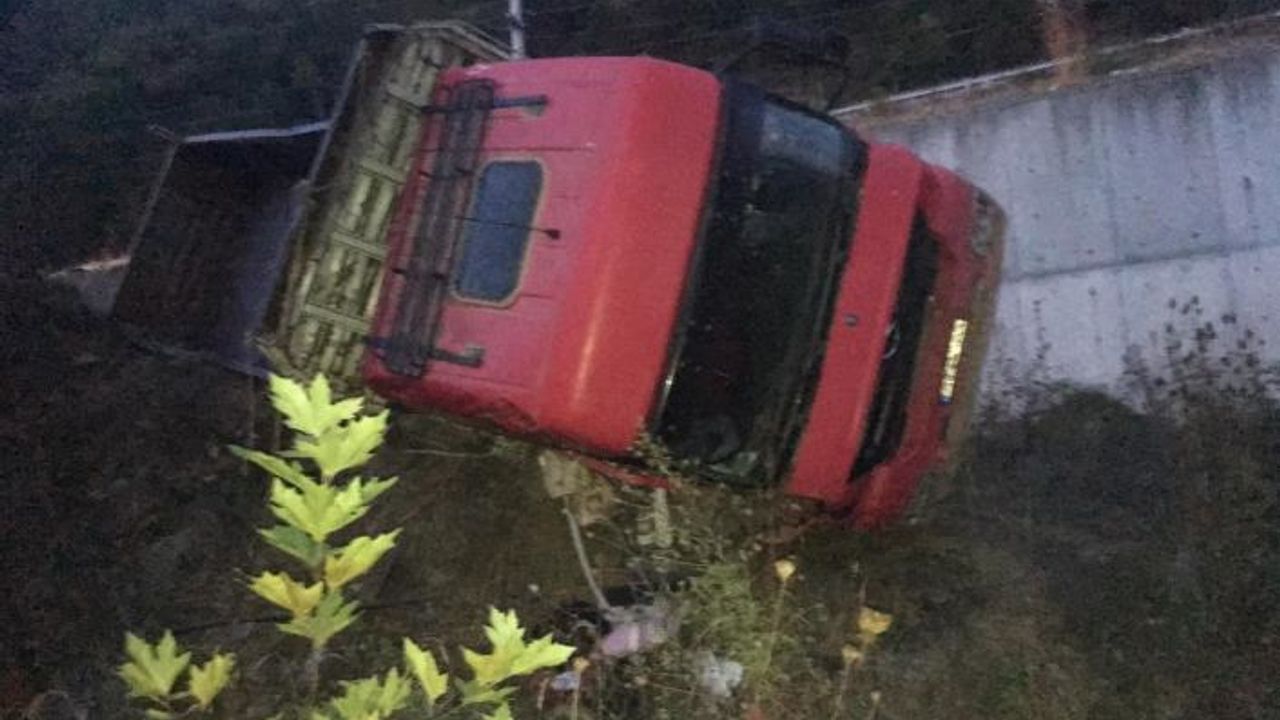 Yoldan çıkan tır devrildi : 1 yaralı
