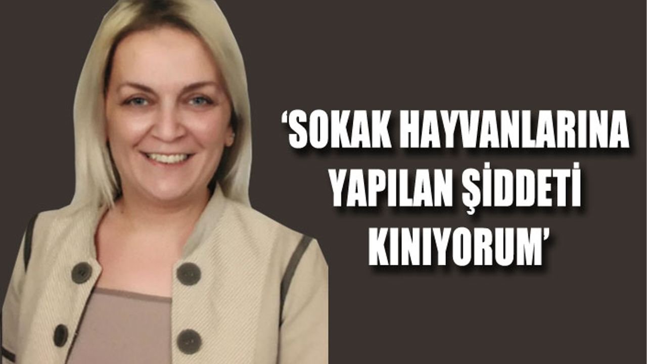 MUKO'dan sokak hayvanlarına yardım çağrısı