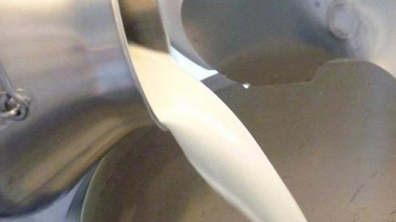 Ticari süt işletmelerince Kasım ayında 736 bin 965 ton inek sütü toplandı