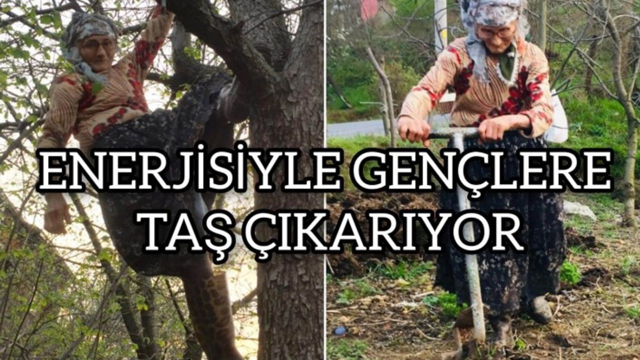 SÜPER NİNE, AĞAÇLARA ÖRÜMCEK GİBİ TIRMANIYOR