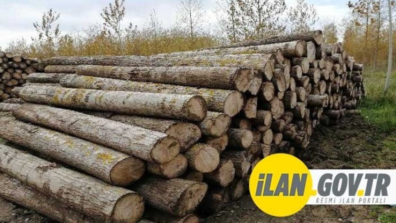 Orman emvali istif hizmeti alınacak