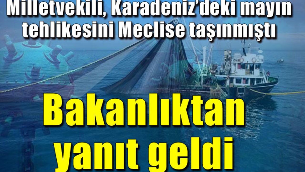 Milletvekili, Karadeniz’deki mayın tehlikesini Meclise taşımıştı
