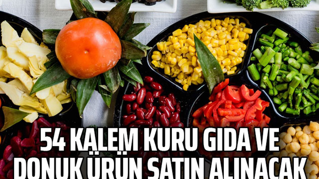 54 kalem kuru gıda ve donuk ürün satın alınacak
