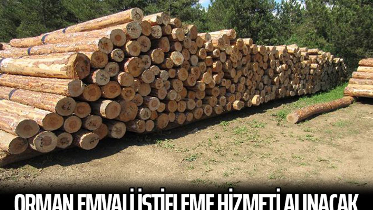 Orman emvali istifleme hizmeti alınacak