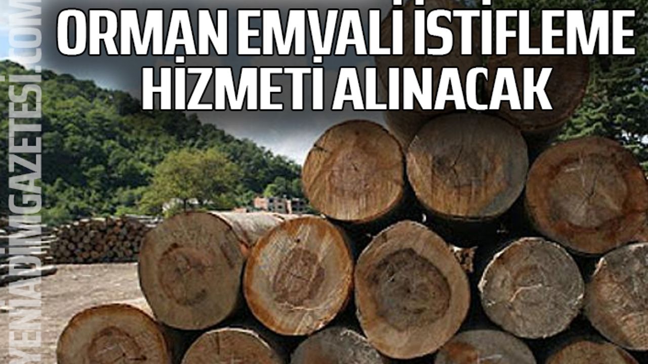 Orman emvali istifleme hizmeti alınacak