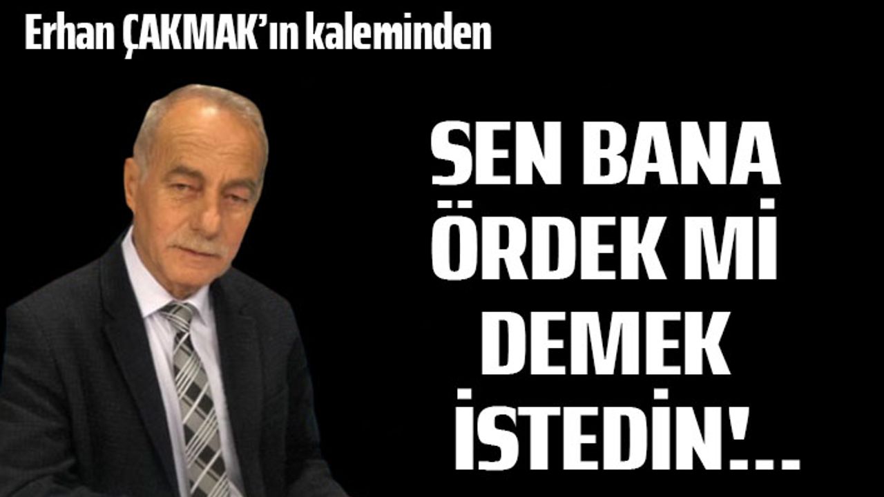 Sen bana ördek mi demek istedin!..