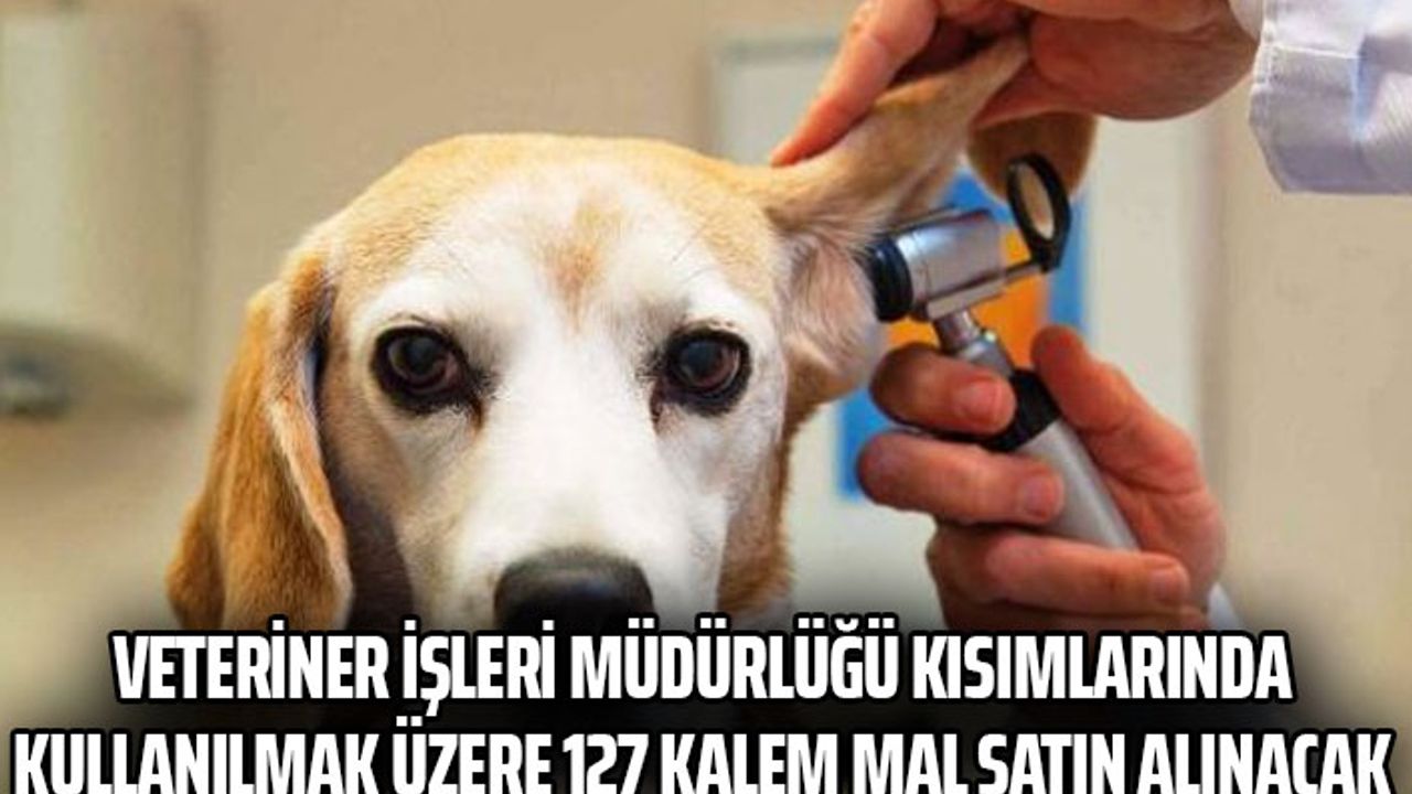 Veteriner İşleri Müdürlüğü kısımlarında kullanılmak üzere 127 kalem mal satın alınacak