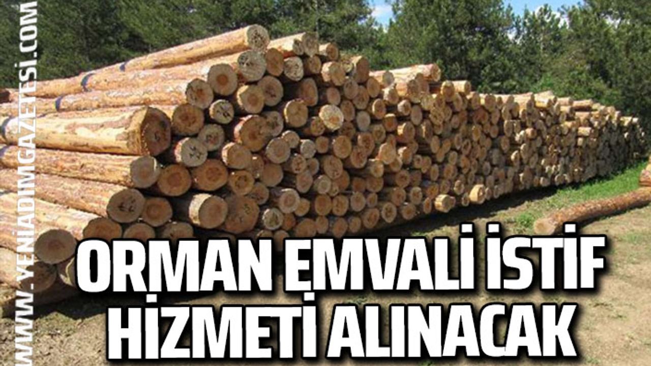 Orman emvali istif hizmeti alınacak