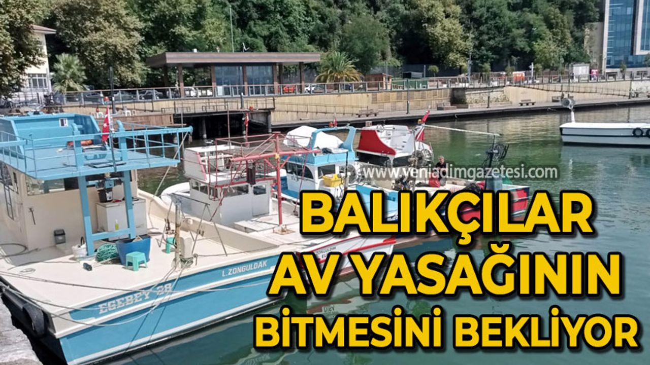 Zonguldak'ta balıkçılar av yasağının bitmesini bekliyor