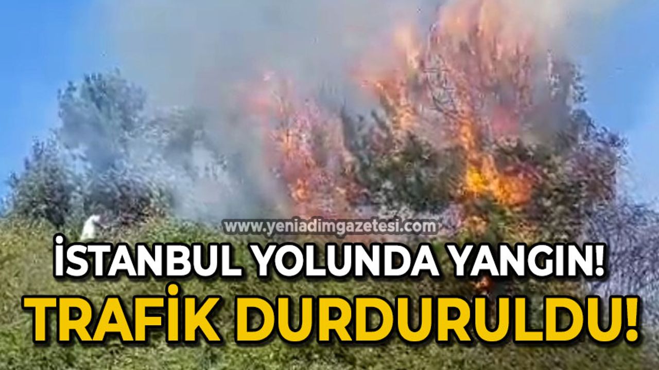 İstanbul yolunda yangın: Trafik durduruldu!