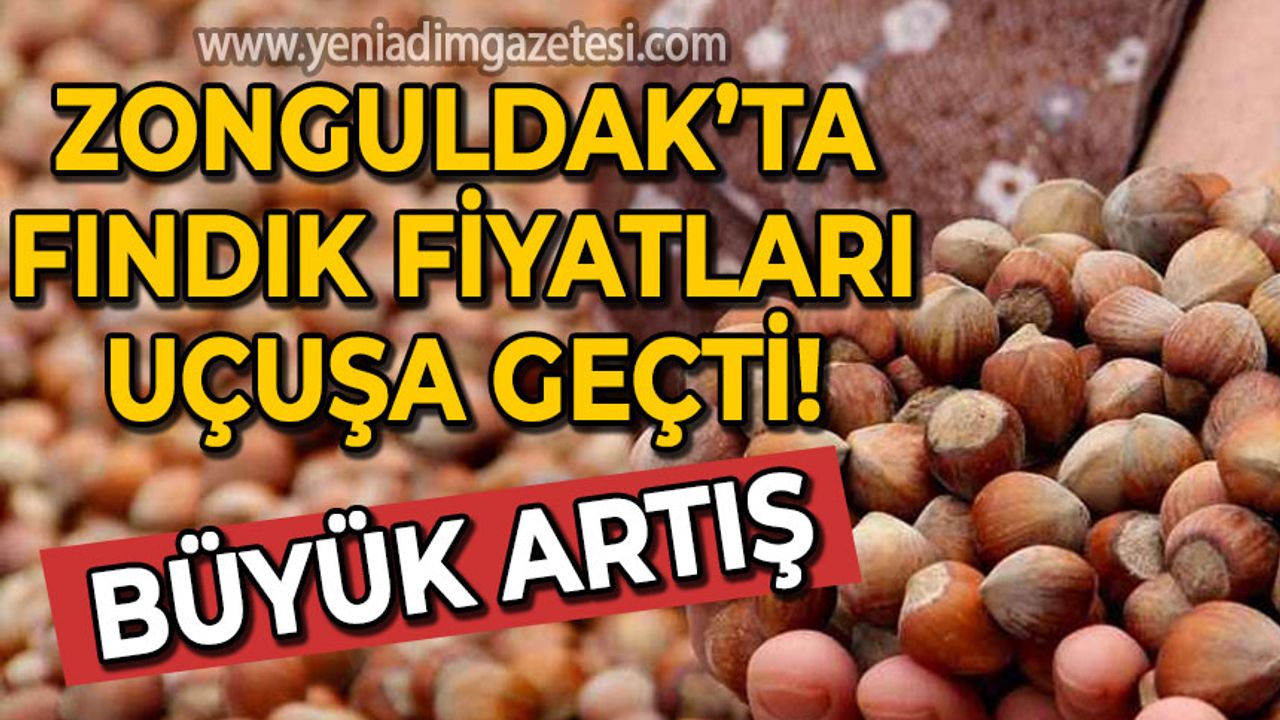 Zonguldak’ta fındık fiyatları fırladı!