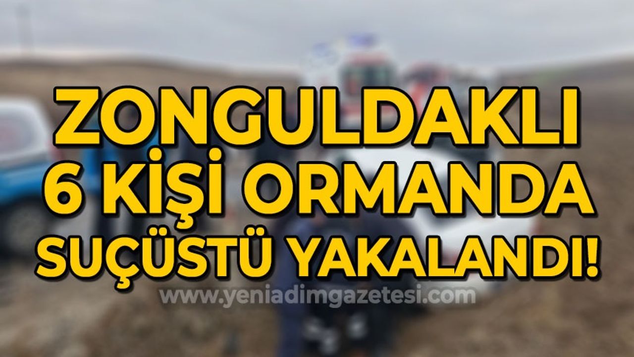 Zonguldaklı 6 kişi ormanda suçüstü yakalandı!