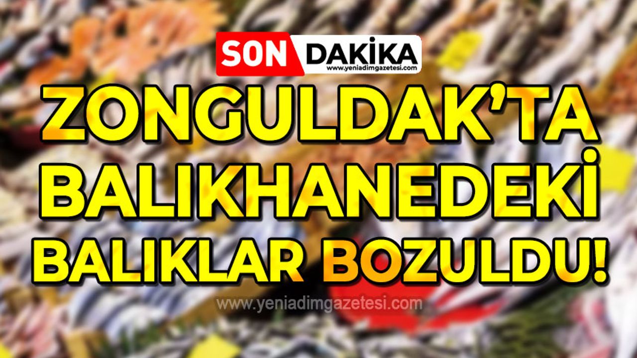 Zonguldak'ta balıkhanedeki balıklar bozuldu!
