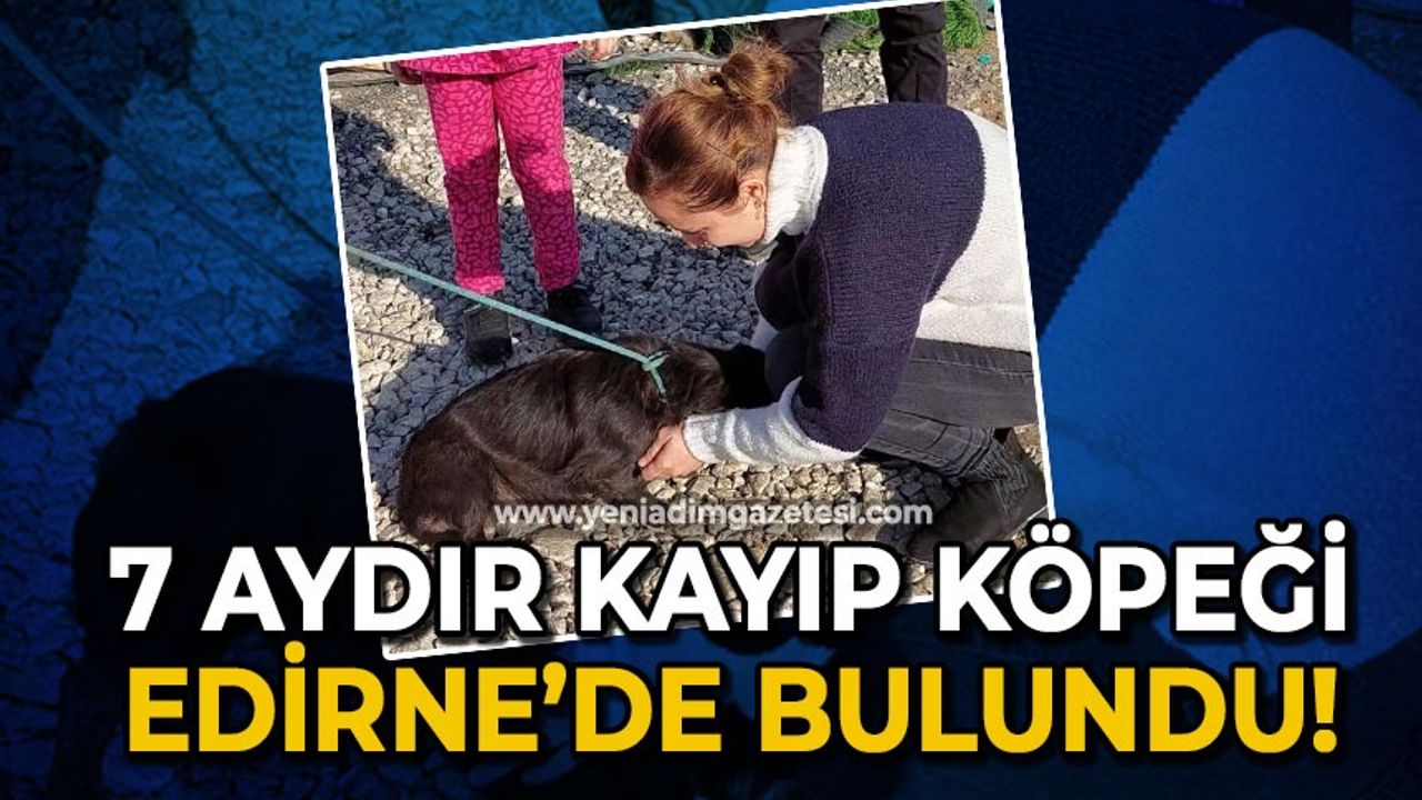 7 aydır kayıp köpeği Edirne'de bulundu