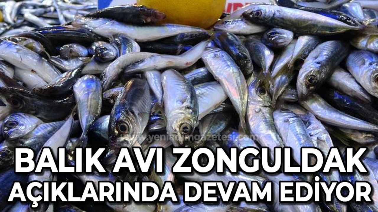 Zonguldak açıklarında balık avı devam ediyor: Fiyatlar 2 katına çıktı