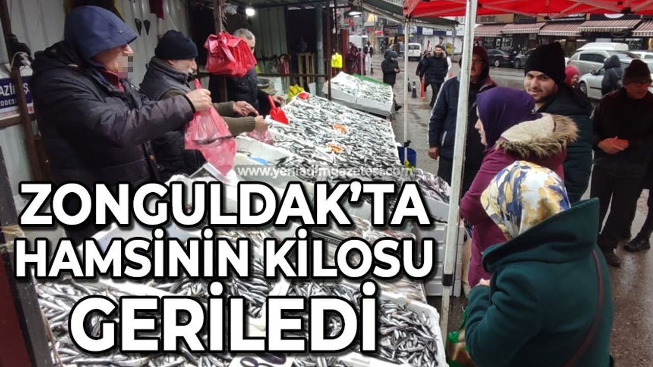 Zonguldak'ta hamsinin kilosu geriledi: İşte güncel fiyatı