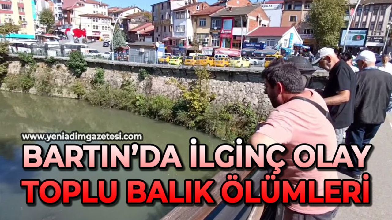 Bartın’da ilginç olay: Toplu balık ölümleri
