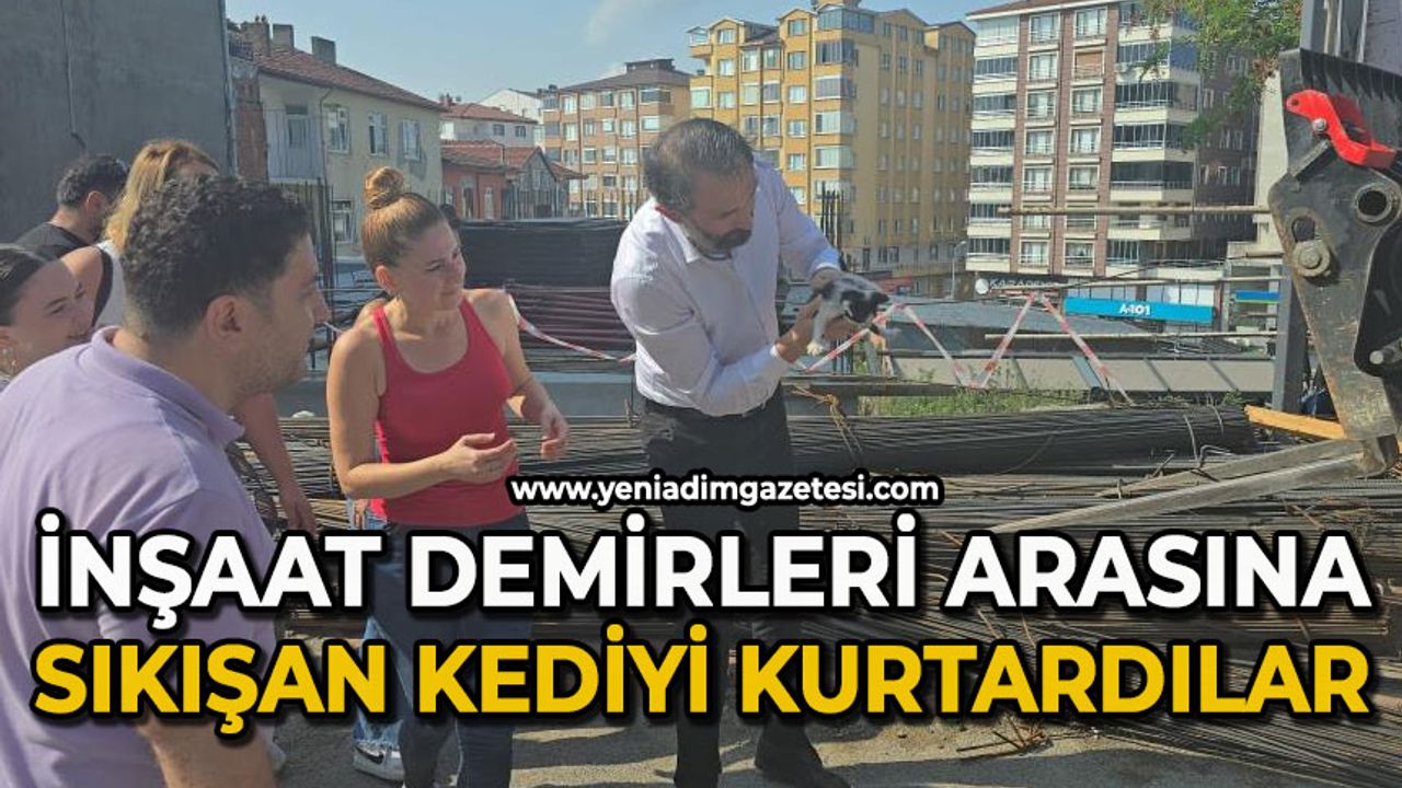 İnşaat demirlerinin altına sıkışan kediyi kurtarmak için zamanla yarıştılar