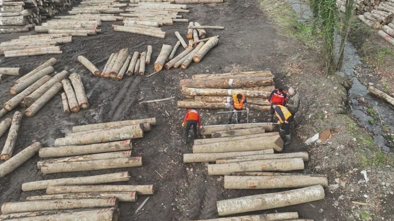 11 bin 596,5 ton orman ürünü ihraç edildi