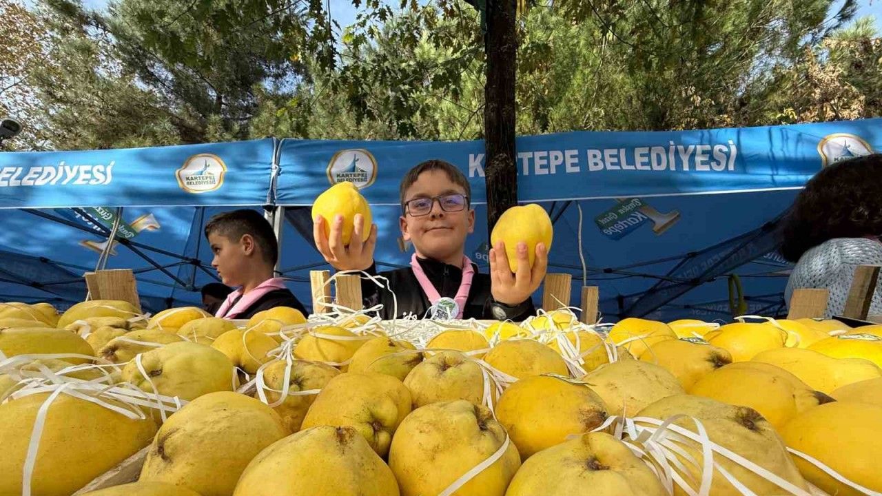 Kalitesiyle ünlü Eşme ayvası, festivalle görücüye çıktı