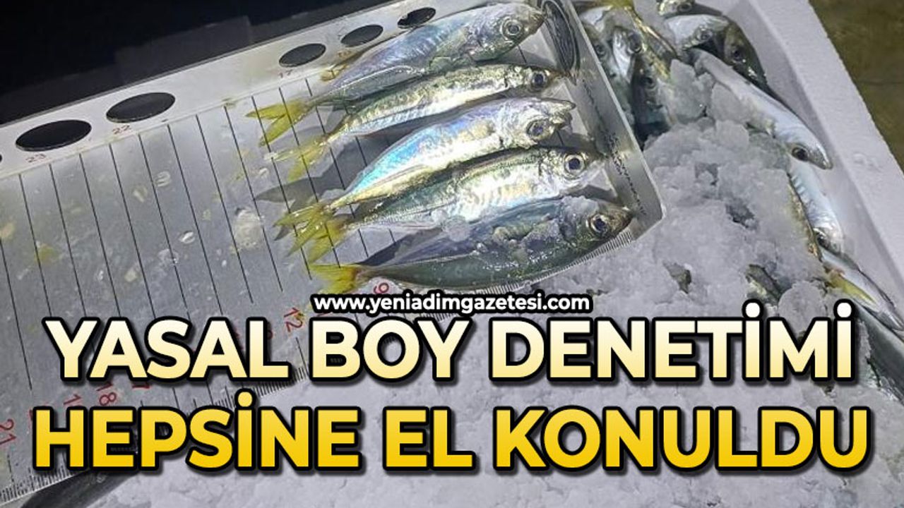 Yasal boy denetimi: Bin 845 kilo istavrite el konuldu