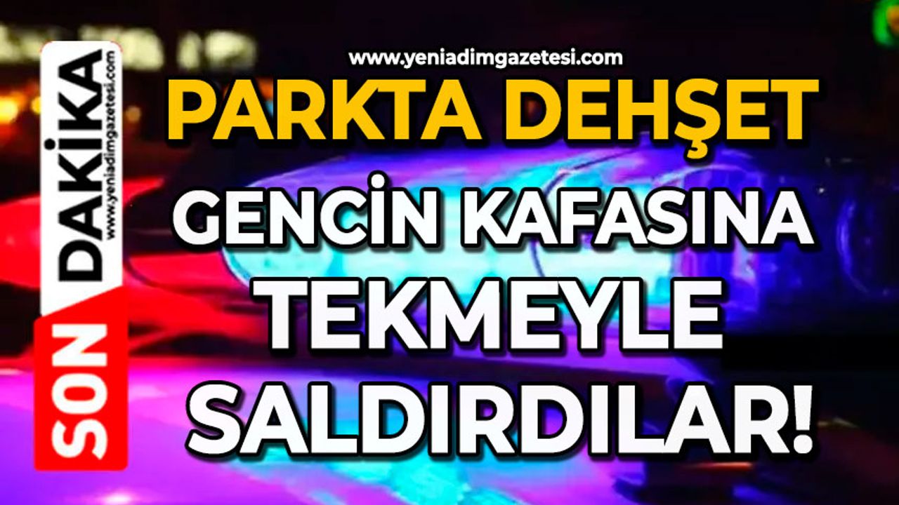 Parkta dehşet: Gencin kafasına tekmeyle saldırdılar!