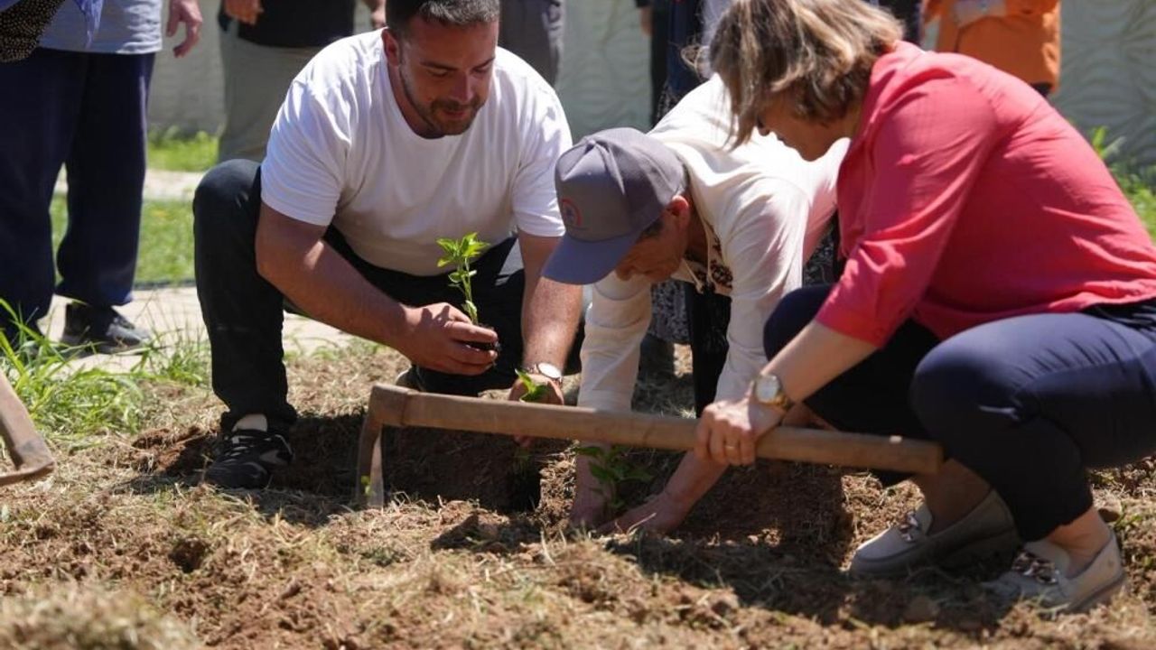 Ata tohumu kuşakları buluşturdu