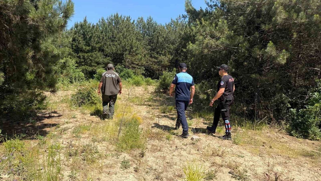 Orman yangınlarına karşı sıkı denetim
