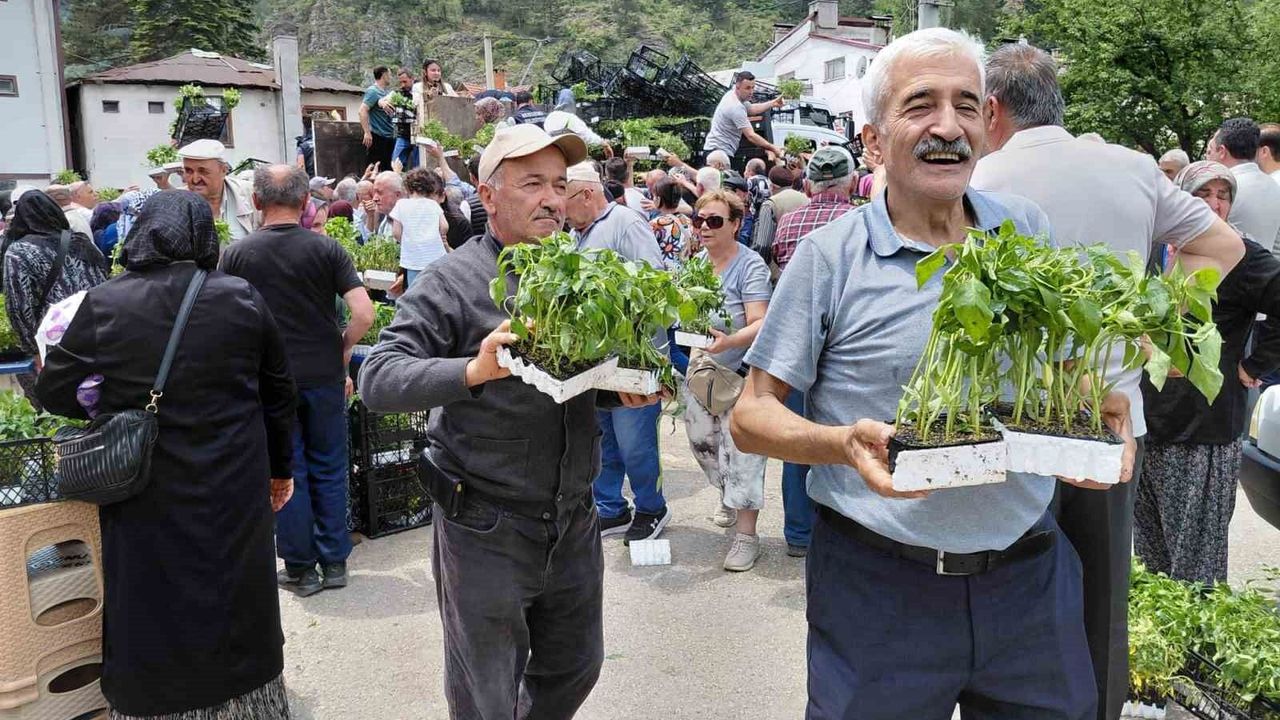 Ücretsiz fide dağıtımına yoğun katılım