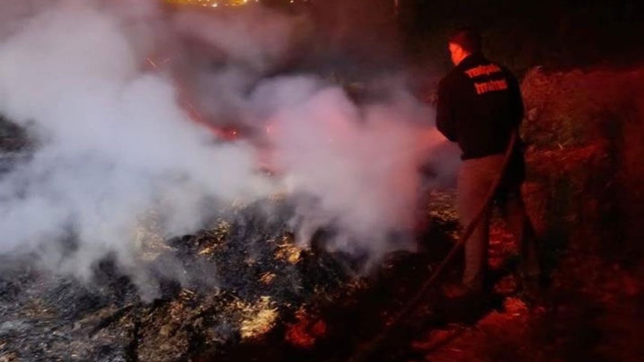 Korkutan anız yangını: Ormana sıçramadan söndürüldü