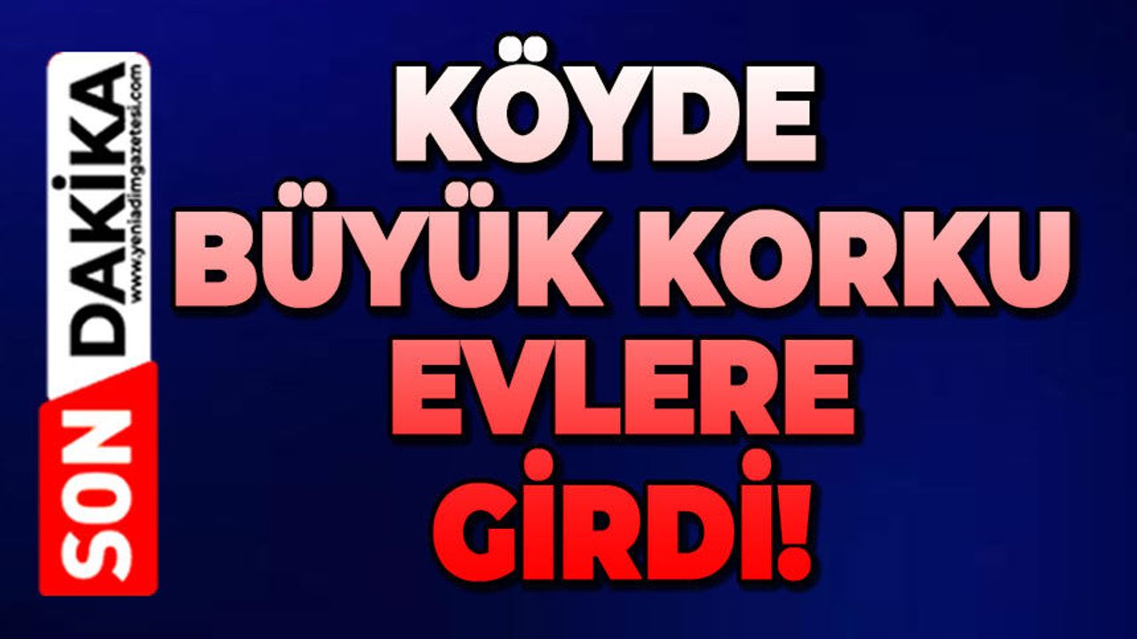 Köyde büyük korku: Evlere girdi!