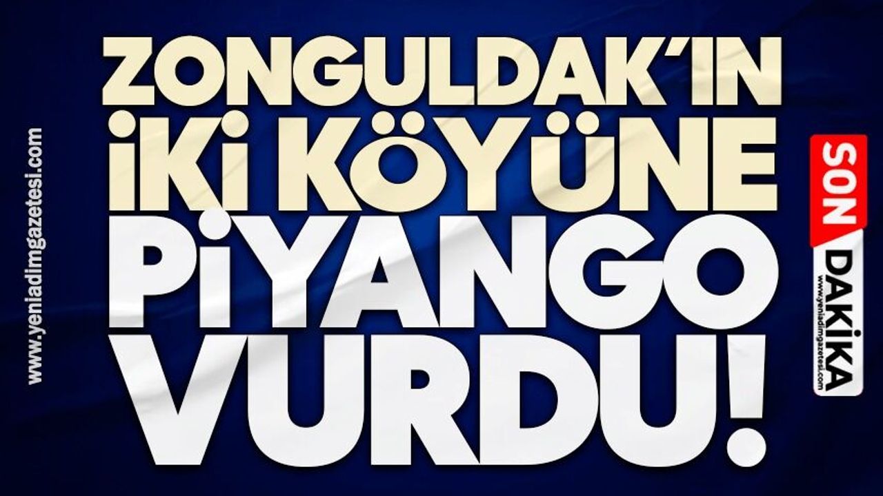 Zonguldak’ın iki köyüne piyango vurdu!