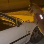 Otomobil kaputunda uyuşturucu sevkiyatına jandarma engeli