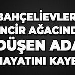 Bahçelievler'de feci ölüm: İncir ağacından düşen adam hayatını kaybetti