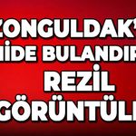 Zonguldak'ta mide bulandıran rezil görüntüler