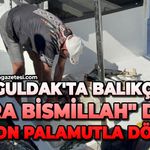 Zonguldak'ta balıkçılar "Vira bismillah" dedi: 50 ton palamutla döndü