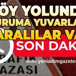 Köy yolunda şarampole yuvarlandı: Yaralılar var