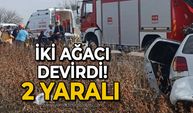 İki ağacı devirdi: 2 yaralı