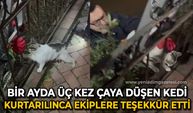 Bir ayda üç kez çaya düşen kedi, kurtarıldıktan sonra patisiyle teşekkür etti