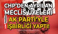 Tek başıma da kalsam mücadeleye devam
