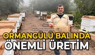 Ormangülü balında önemli üretim