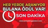 Her yerde onu arıyor: Bulana 10 bin TL verecek