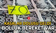 Kasalar dolusu geldi: Bolluk bereket  var