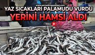 Yaz sıcakları palamudu vurdu, yerini hamsi aldı