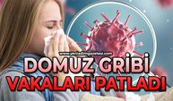 Domuz gribi vakalarında artış