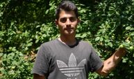 Lezzetiyle ünlü Eşme eriğinde yüksek rekolte fiyatları düşürdü