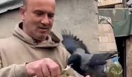 4 yıldır beslediği kargasına elleriyle balık yedirdi