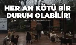 Her an kötü bir durum olabilir!