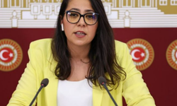 Türkiye İşçi Parti’li Milletvekili Saliha Sera Kadıgil Sütlü Hakkında Merak Edilenler