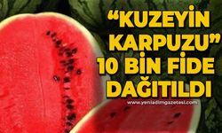 Zonguldak'ta 10 bin fide dağıtıldı: "Kuzeyin Karpuzu"